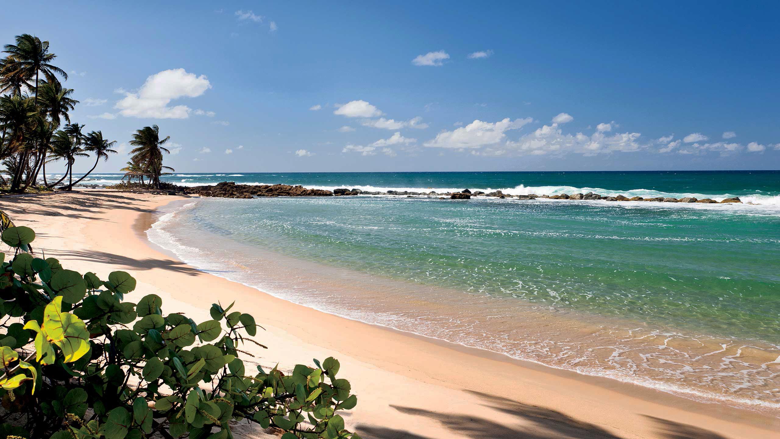 Beneficial AGI Conference