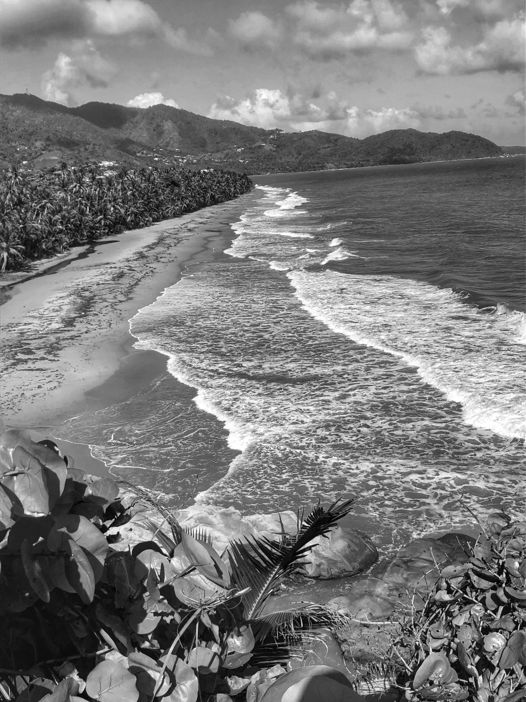 community-longview-philanthropy