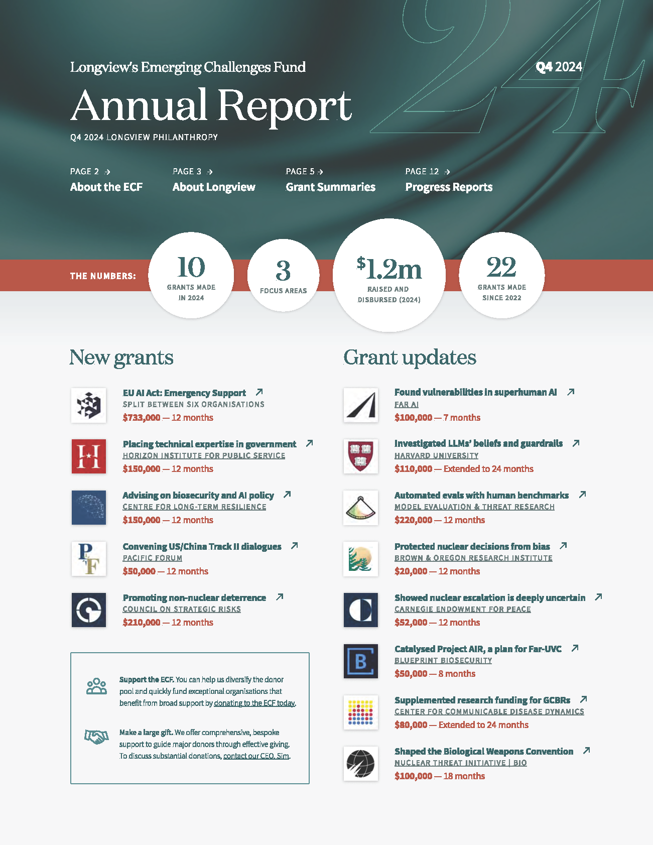 Emerging Challenges Fund
